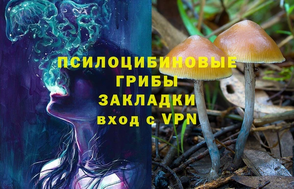мескалин Горно-Алтайск