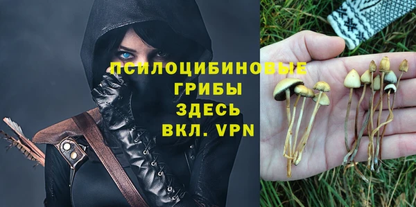 МДПВ Волоколамск