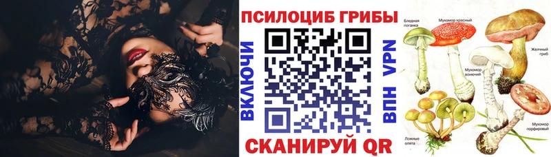 где можно купить   Жуков  Псилоцибиновые грибы Magic Shrooms 